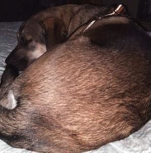 Meet your Posher, Timothy